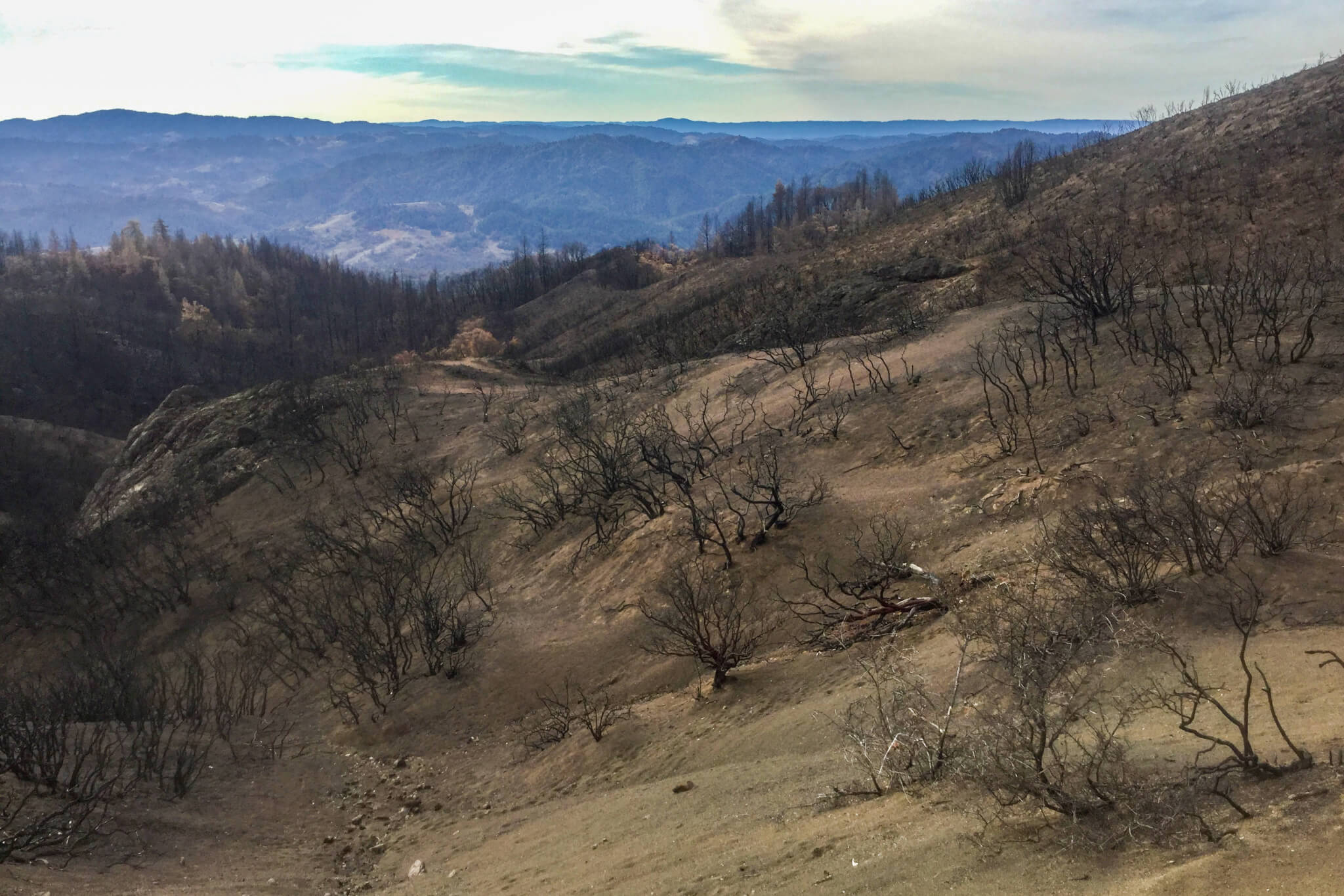 Burn scar area of 2017 Mendocino County fires.